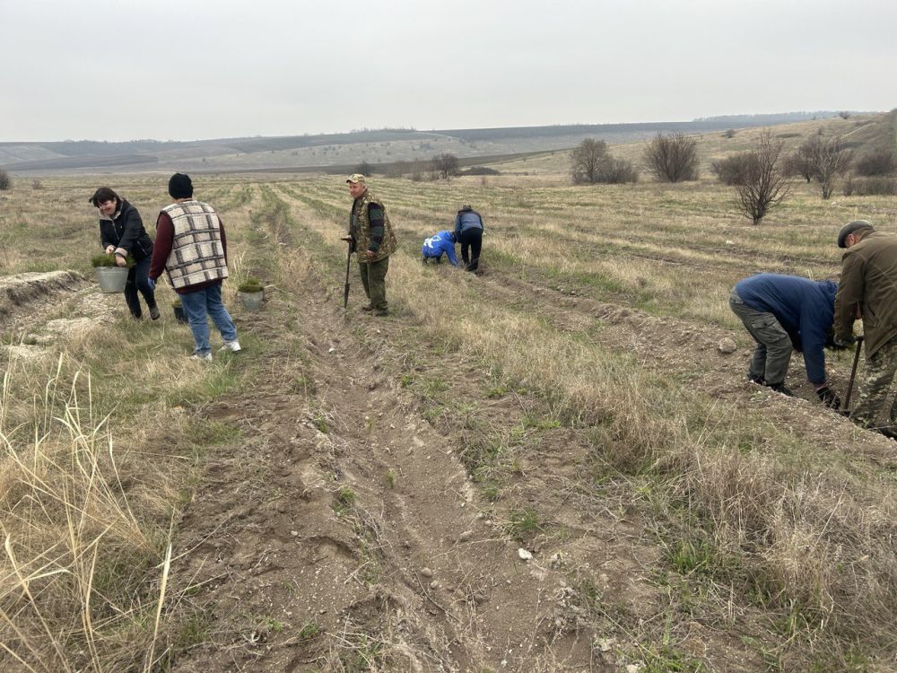 В Новопсковском муниципалитете активисты "Единой России" провели масштабную экологическую акцию по высадке молодых деревьев В Новопсковском муниципалитете активисты "Единой России" провели масштабную экологическую акцию по высадке молодых деревьев