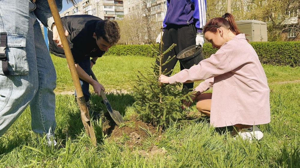 “Сад Памяти” расцветает в нашем городе! “Сад Памяти” расцветает в нашем городе!