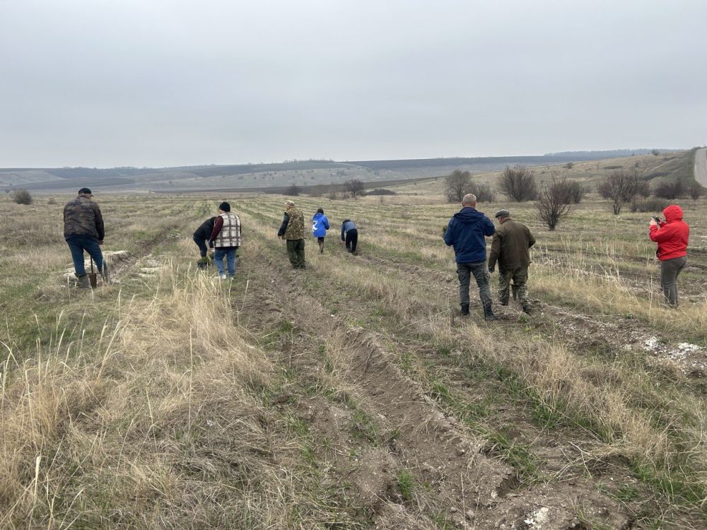 В Новопсковском муниципалитете активисты "Единой России" провели масштабную экологическую акцию по высадке молодых деревьев В Новопсковском муниципалитете активисты "Единой России" провели масштабную экологическую акцию по высадке молодых деревьев