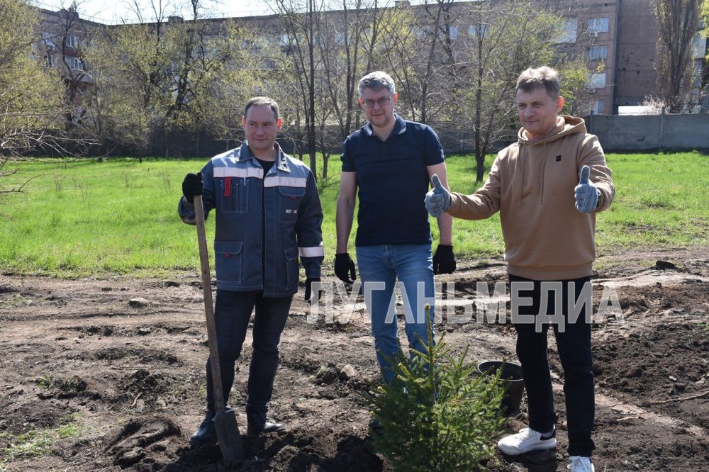 Алчевск присоединился к международной акции «Сад памяти» Алчевск присоединился к международной акции «Сад памяти»