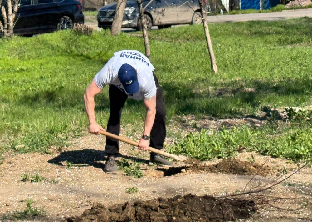 В Красном Луче высадили деревья в рамках акции «Сад памяти» В Красном Луче высадили деревья в рамках акции «Сад памяти»