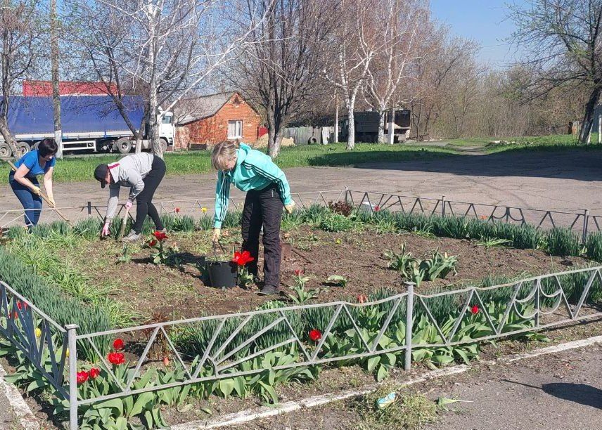 Активисты партийного проекта «Чистая страна» наводят порядок в муниципалитете Активисты партийного проекта «Чистая страна» наводят порядок в муниципалитете