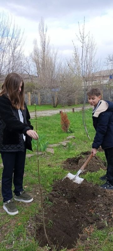 Ученики Лутугинской средней школы №2 приняли активное участие в высадке деревьев на Аллее Славы Ученики Лутугинской средней школы №2 приняли активное участие в высадке деревьев на Аллее Славы