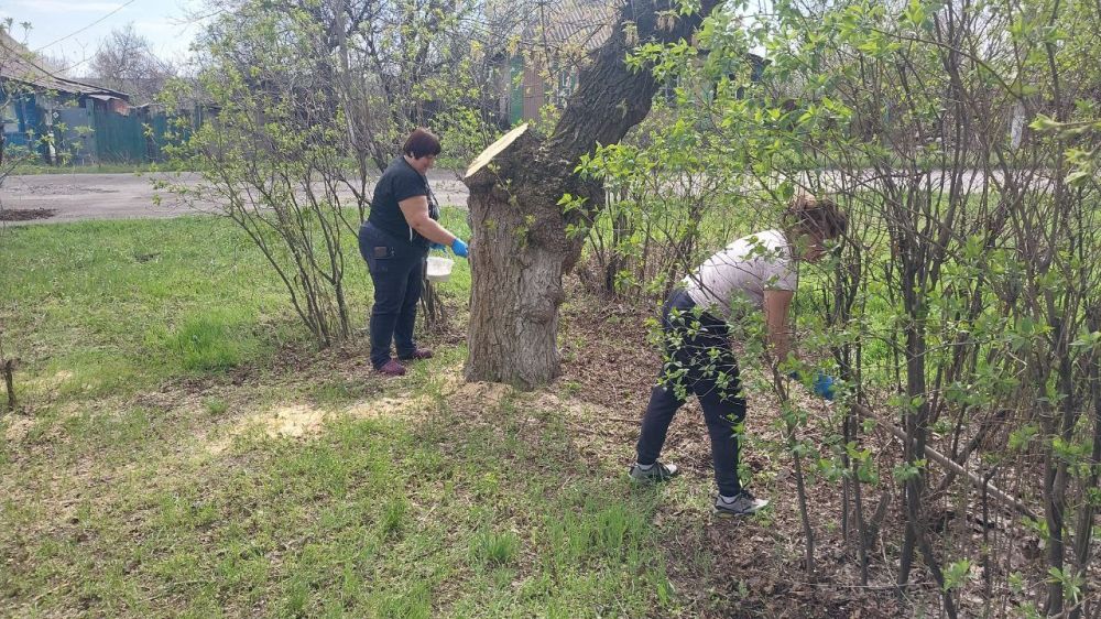 Активисты партийного проекта «Чистая страна» наводят порядок в муниципалитете Активисты партийного проекта «Чистая страна» наводят порядок в муниципалитете