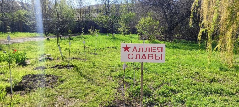 Ученики Лутугинской средней школы №2 приняли активное участие в высадке деревьев на Аллее Славы Ученики Лутугинской средней школы №2 приняли активное участие в высадке деревьев на Аллее Славы