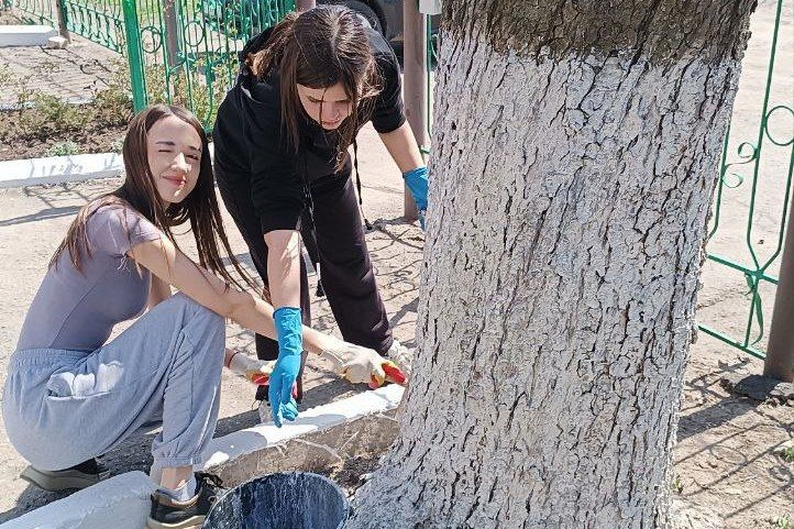 Акция «Чистая Республика - 2025»: в пгт Бирюково, пгт Калининский и сёлах Александровка и Провалье проводятся субботники Акция «Чистая Республика - 2025»: в пгт Бирюково, пгт Калининский и сёлах Александровка и Провалье проводятся субботники
