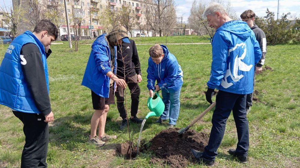 Жители ЛНР присоединяются к высадке деревьев в память о Героях Великой Отечественной войны Жители ЛНР присоединяются к высадке деревьев в память о Героях Великой Отечественной войны
