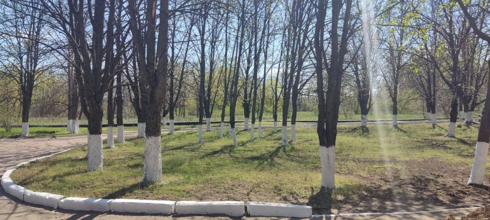 Акция «Чистая Республика – 2025» в Луганской Народной Республике Акция «Чистая Республика – 2025» в Луганской Народной Республике