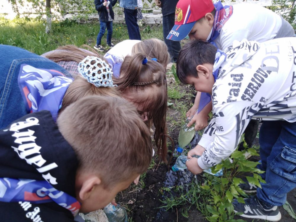 В рамках Международного дня Земли Орлята 3 класса ГБОУ ЛНР "Рубежанская ОШ № 3" приняли участие в экологической Акции "Клумба Орлят" В рамках Международного дня Земли Орлята 3 класса ГБОУ ЛНР "Рубежанская ОШ № 3" приняли участие в экологической Акции "Клумба Орлят"