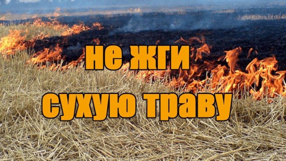 Внимание, информация о поступлении в Донецкое высшее общевойсковое командное училище, контактная информация и сборник «Поступающим в высшие военно-учебные заведения Министерства обороны Российской Федерации и в военные... Внимание, информация о поступлении в Донецкое высшее общевойсковое командное училище, контактная информация и сборник «Поступающим в высшие военно-учебные заведения Министерства обороны Российской Федерации и в военные...