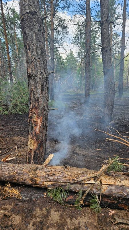 Пожарные отстояли жилые дома в Бобровом и Боровском, когда огонь практически вплотную приблизился к населенным пунктам Пожарные отстояли жилые дома в Бобровом и Боровском, когда огонь практически вплотную приблизился к населенным пунктам