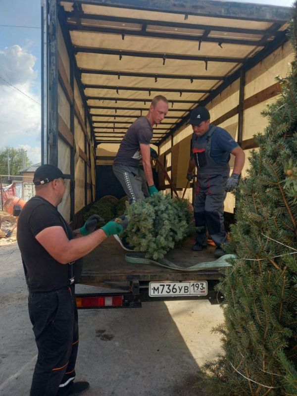 На площади «Героев Сталинграда» в Станице Луганской продолжается озеленение На площади «Героев Сталинграда» в Станице Луганской продолжается озеленение