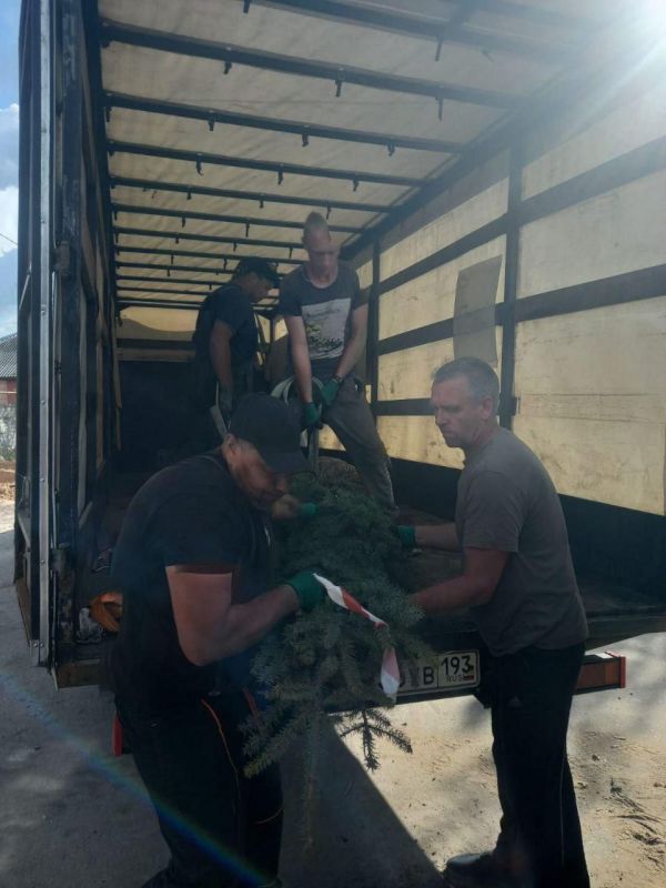 На площади «Героев Сталинграда» в Станице Луганской продолжается озеленение На площади «Героев Сталинграда» в Станице Луганской продолжается озеленение