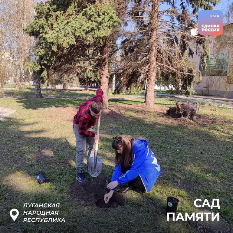 Жители ЛНР высадили деревья в память о Героях Великой Отечественной войны Жители ЛНР высадили деревья в память о Героях Великой Отечественной войны