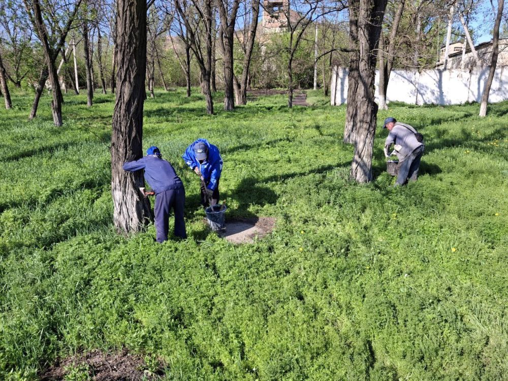 Активисты партии "ЕДИНАЯ РОССИЯ" из "Краснодонского погрузочно - транспортного управления",совместно с депутатом Совета Краснодонского муниципального округа Юрием Алисовым продолжают уборку территории в центре Города Активисты партии "ЕДИНАЯ РОССИЯ" из "Краснодонского погрузочно - транспортного управления",совместно с депутатом Совета Краснодонского муниципального округа Юрием Алисовым продолжают уборку территории в центре Города