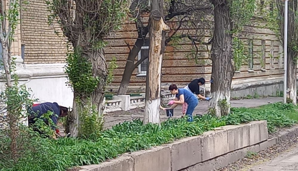 В городе Молодогвардейске продолжаются субботники В городе Молодогвардейске продолжаются субботники