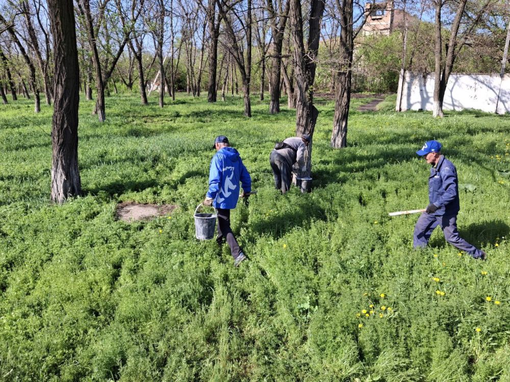 Активисты партии "ЕДИНАЯ РОССИЯ" из "Краснодонского погрузочно - транспортного управления",совместно с депутатом Совета Краснодонского муниципального округа Юрием Алисовым продолжают уборку территории в центре Города Активисты партии "ЕДИНАЯ РОССИЯ" из "Краснодонского погрузочно - транспортного управления",совместно с депутатом Совета Краснодонского муниципального округа Юрием Алисовым продолжают уборку территории в центре Города