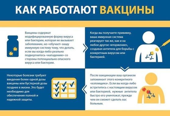 С 24 по 30 апреля 2025г. в Российской Федерации проходит Всемирная неделя иммунизации, посвящённая укреплению здоровья и защите людей всех возрастов от болезней, предотвратимых с помощью вакцин С 24 по 30 апреля 2025г. в Российской Федерации проходит Всемирная неделя иммунизации, посвящённая укреплению здоровья и защите людей всех возрастов от болезней, предотвратимых с помощью вакцин
