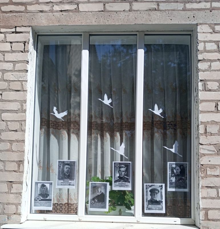 В Краснолучском городском округе проходит акция «Окна Победы» В Краснолучском городском округе проходит акция «Окна Победы»
