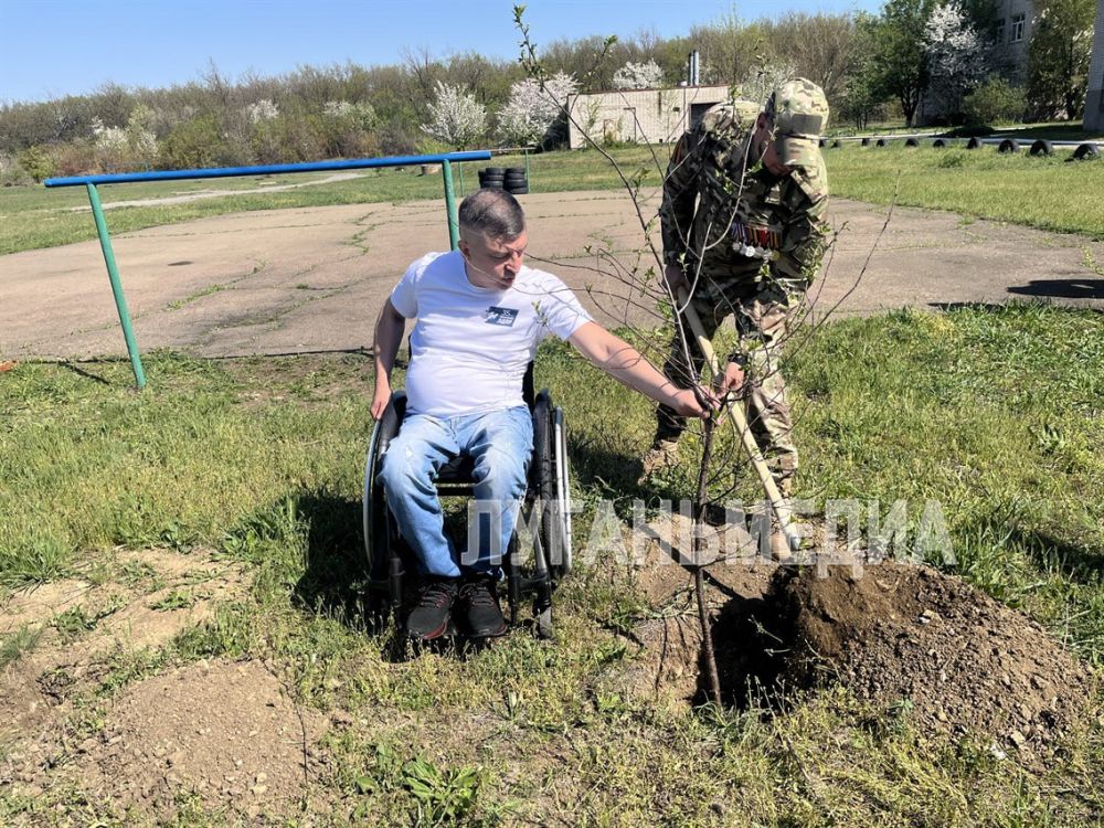 На территории Краснолучской школы № 29 появится Аллея волонтеров На территории Краснолучской школы № 29 появится Аллея волонтеров