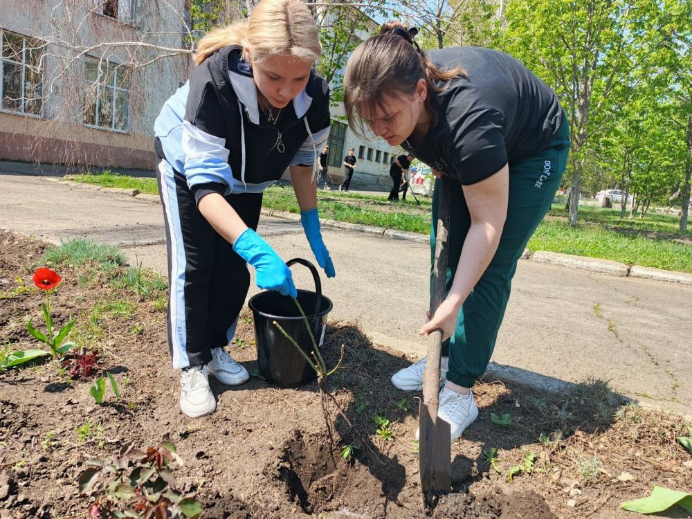 Сердца Раскрываются в Добрых Делах: "Марафон Зелёных Дел" и Субботник в Гимназии №1! Сердца Раскрываются в Добрых Делах: "Марафон Зелёных Дел" и Субботник в Гимназии №1!