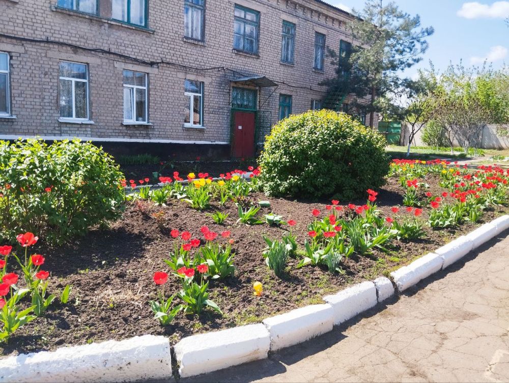 Дошкольные образовательные организации городского округа города Красный Луч присоединились к республиканской акции «Чистая Республика — 2025» Дошкольные образовательные организации городского округа города Красный Луч присоединились к республиканской акции «Чистая Республика — 2025»