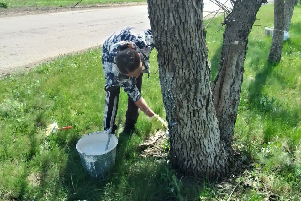В пгт Шахтерский провели очередной субботник В пгт Шахтерский провели очередной субботник