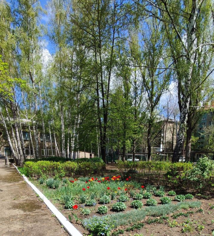 Дошкольные образовательные организации городского округа города Красный Луч присоединились к республиканской акции «Чистая Республика — 2025» Дошкольные образовательные организации городского округа города Красный Луч присоединились к республиканской акции «Чистая Республика — 2025»