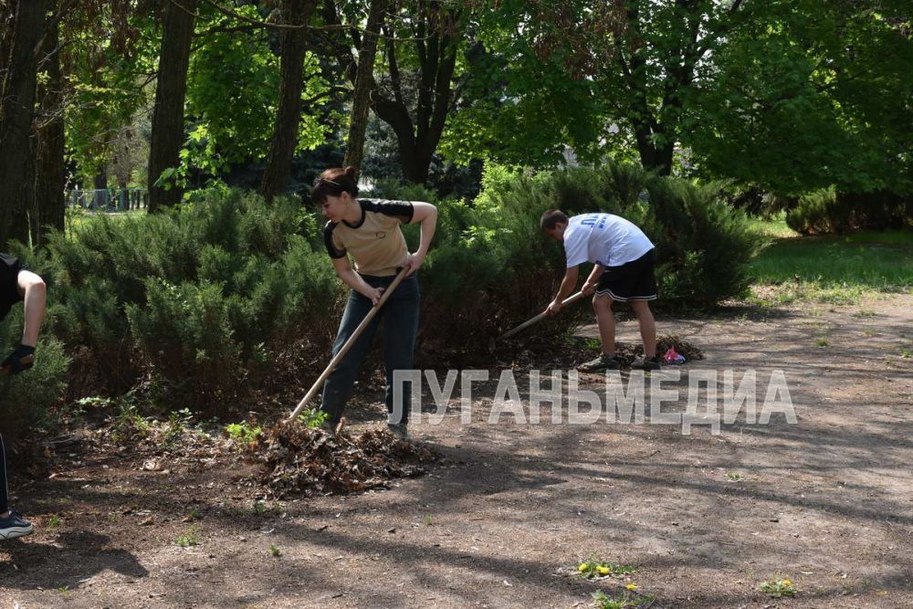 В Новопскове в рамках реализации федерального проекта «Формирование комфортной городской среды» национального проекта «Инфраструктура для жизни» прошел Всероссийский субботник В Новопскове в рамках реализации федерального проекта «Формирование комфортной городской среды» национального проекта «Инфраструктура для жизни» прошел Всероссийский субботник