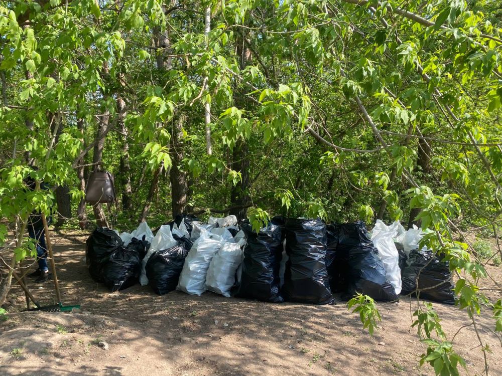 Состоялся субботник «Чистая Республика» Состоялся субботник «Чистая Республика»