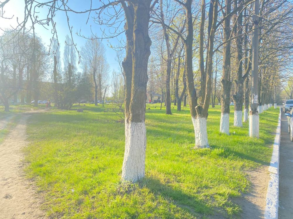 Субботники в разгаре - поддерживаем чистоту и порядок! Субботники в разгаре - поддерживаем чистоту и порядок!