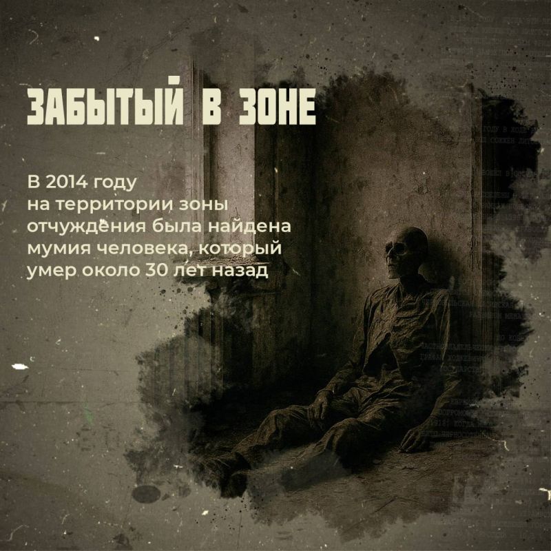 Чернобыль: факты, от которых стынет кровь Чернобыль: факты, от которых стынет кровь
