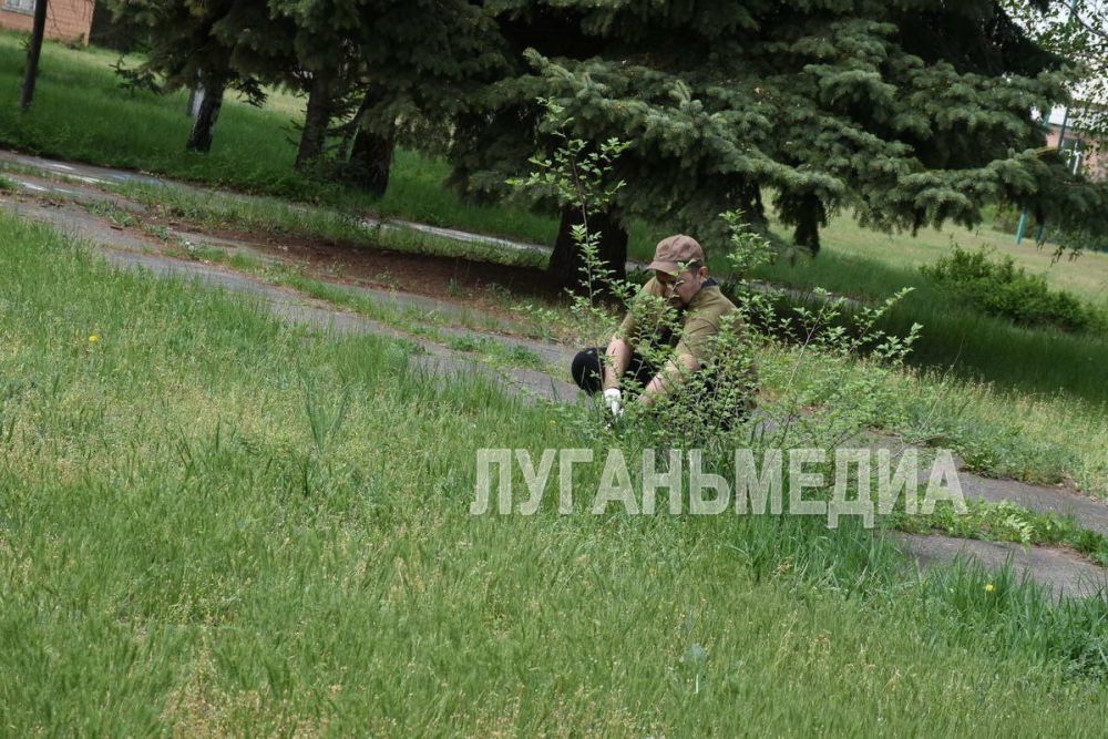 В Новопскове в рамках реализации федерального проекта «Формирование комфортной городской среды» национального проекта «Инфраструктура для жизни» прошел Всероссийский субботник В Новопскове в рамках реализации федерального проекта «Формирование комфортной городской среды» национального проекта «Инфраструктура для жизни» прошел Всероссийский субботник