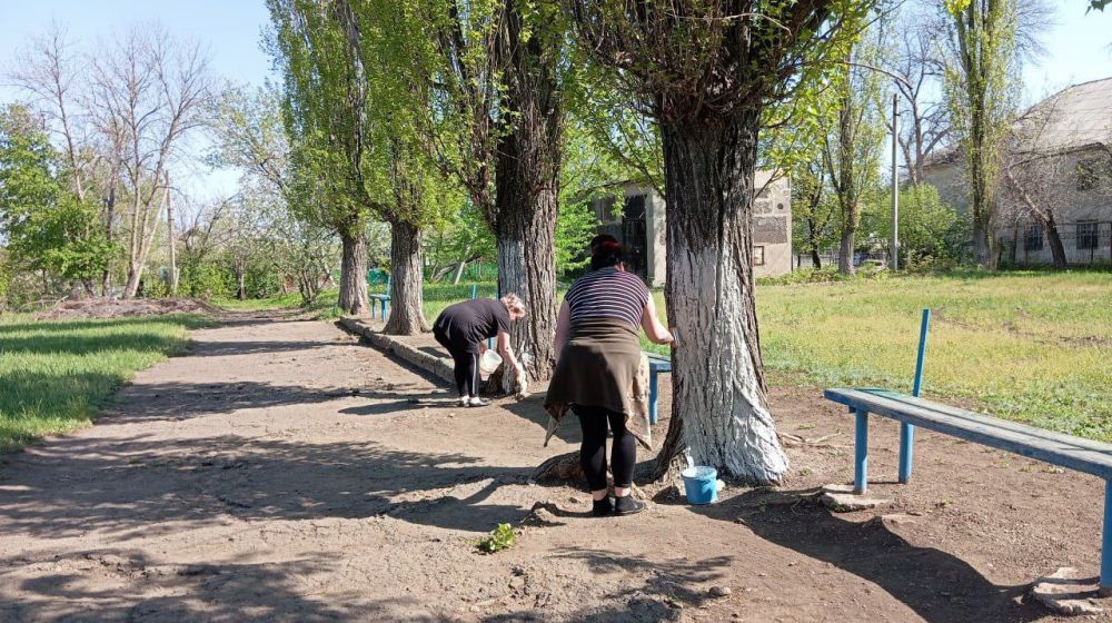 Жители пгт Ясеновский присоединились к Всероссийскому субботнику Жители пгт Ясеновский присоединились к Всероссийскому субботнику