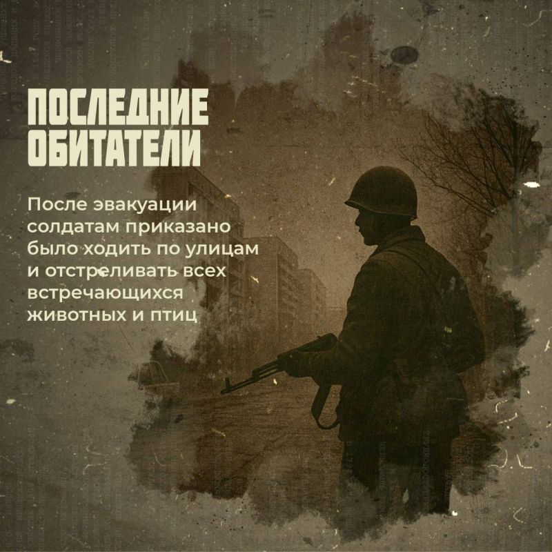 Чернобыль: факты, от которых стынет кровь Чернобыль: факты, от которых стынет кровь