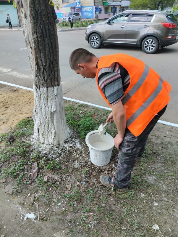 Активисты Молодогвардейска присоединились ко Всероссийскому субботнику Активисты Молодогвардейска присоединились ко Всероссийскому субботнику