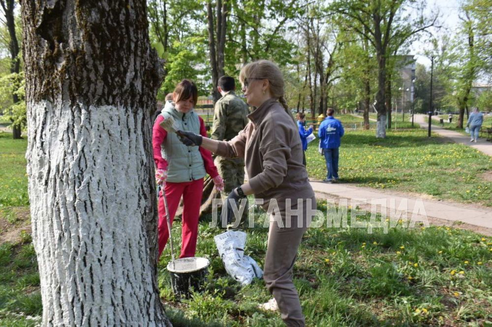 Субботник по-федеральному в Свердловске: и порядок навести, и за комфорт проголосовать Субботник по-федеральному в Свердловске: и порядок навести, и за комфорт проголосовать