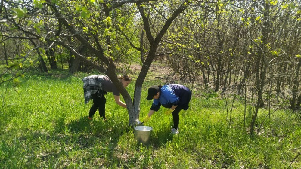 Сегодня сотрудники отдела жизнедеятельности пгт Сегодня сотрудники отдела жизнедеятельности пгт
