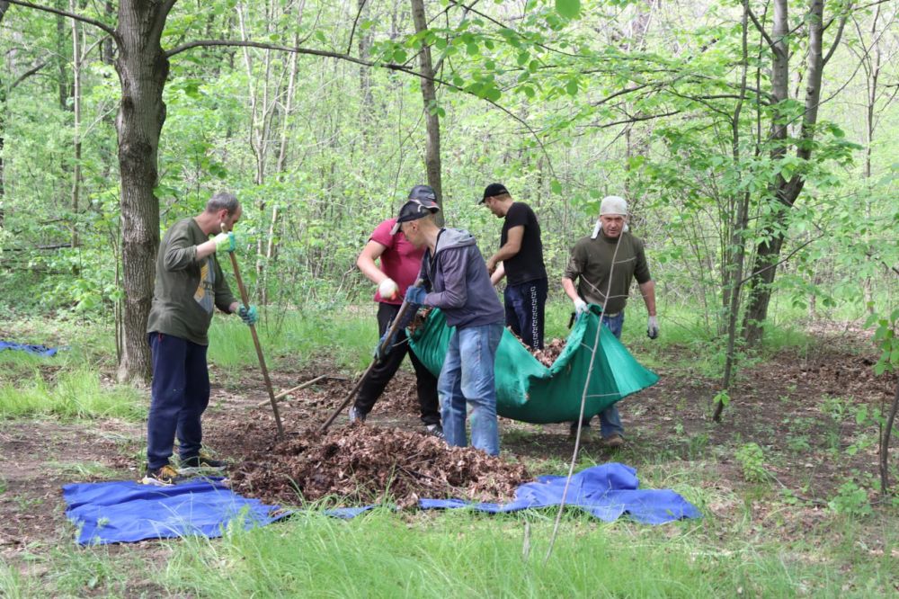 Парк «Горняк» в блеске чистоты Парк «Горняк» в блеске чистоты