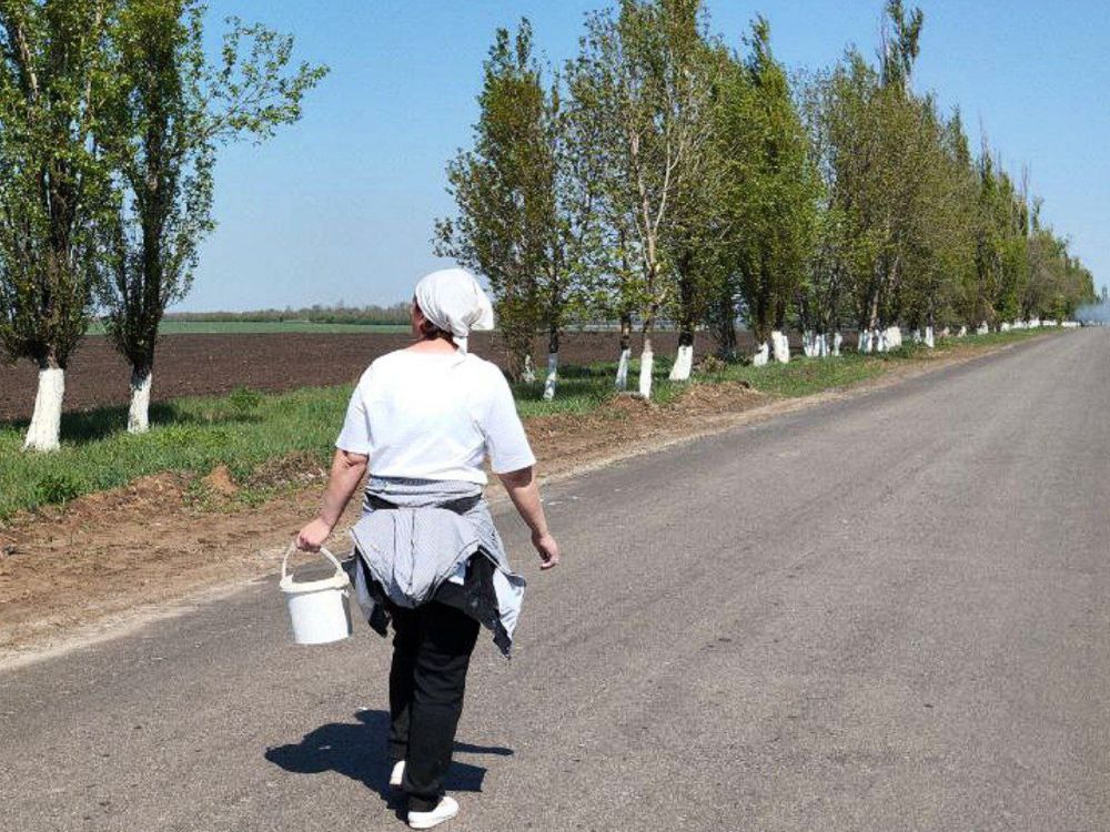 пгт Фащевка. После череды субботников на территори поселка жители принялись наводить красоту на вьезде в поселок пгт Фащевка. После череды субботников на территори поселка жители принялись наводить красоту на вьезде в поселок