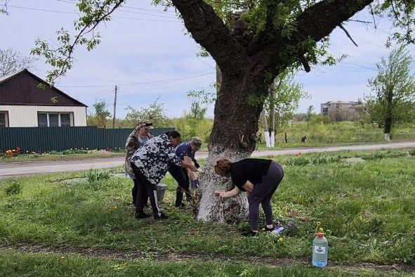 В рамках акции «Чистая Республика – 2025» в пгт Шахтёрский провели субботник В рамках акции «Чистая Республика – 2025» в пгт Шахтёрский провели субботник