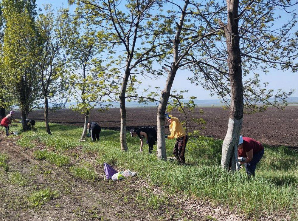 пгт Фащевка. После череды субботников на территори поселка жители принялись наводить красоту на вьезде в поселок пгт Фащевка. После череды субботников на территори поселка жители принялись наводить красоту на вьезде в поселок