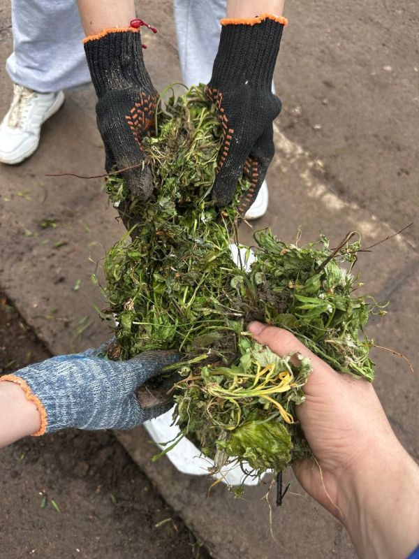 Помощь героям. В рамках Всероссийской недели субботников «Мы за чистоту», приуроченной к 80-летию Победы и Году защитника Отечества, активисты местного отделения ЛГУ имени Владимира Даля провели субботник на прилегающей... Помощь героям. В рамках Всероссийской недели субботников «Мы за чистоту», приуроченной к 80-летию Победы и Году защитника Отечества, активисты местного отделения ЛГУ имени Владимира Даля провели субботник на прилегающей...