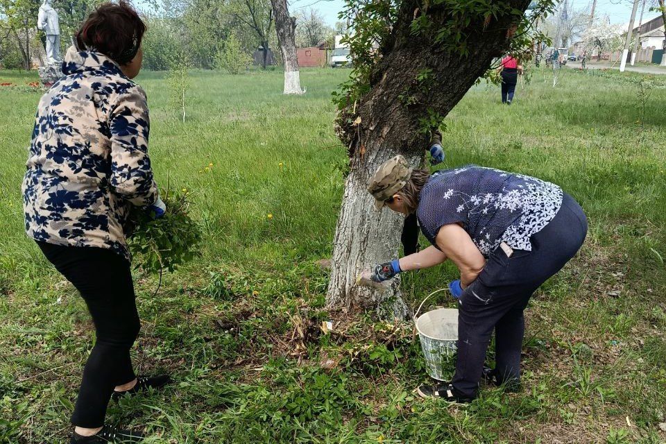 В рамках акции «Чистая Республика – 2025» в пгт Шахтёрский провели субботник В рамках акции «Чистая Республика – 2025» в пгт Шахтёрский провели субботник