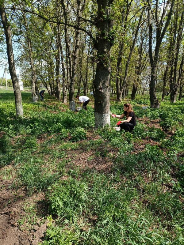 С 11 по 25 апреля в селе Новоалександровка проходили субботники в рамках акции «Чистая Республика»! С 11 по 25 апреля в селе Новоалександровка проходили субботники в рамках акции «Чистая Республика»!