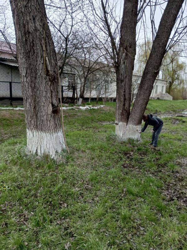 26 апреля 2025 года во всех регионах России прошли Всероссийские субботники в рамках федерального проекта «Формирование комфортной городской среды» 26 апреля 2025 года во всех регионах России прошли Всероссийские субботники в рамках федерального проекта «Формирование комфортной городской среды»