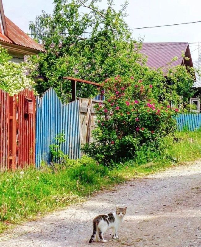 Пусть у каждого будет причал Пусть у каждого будет причал