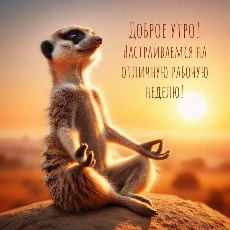      -      !