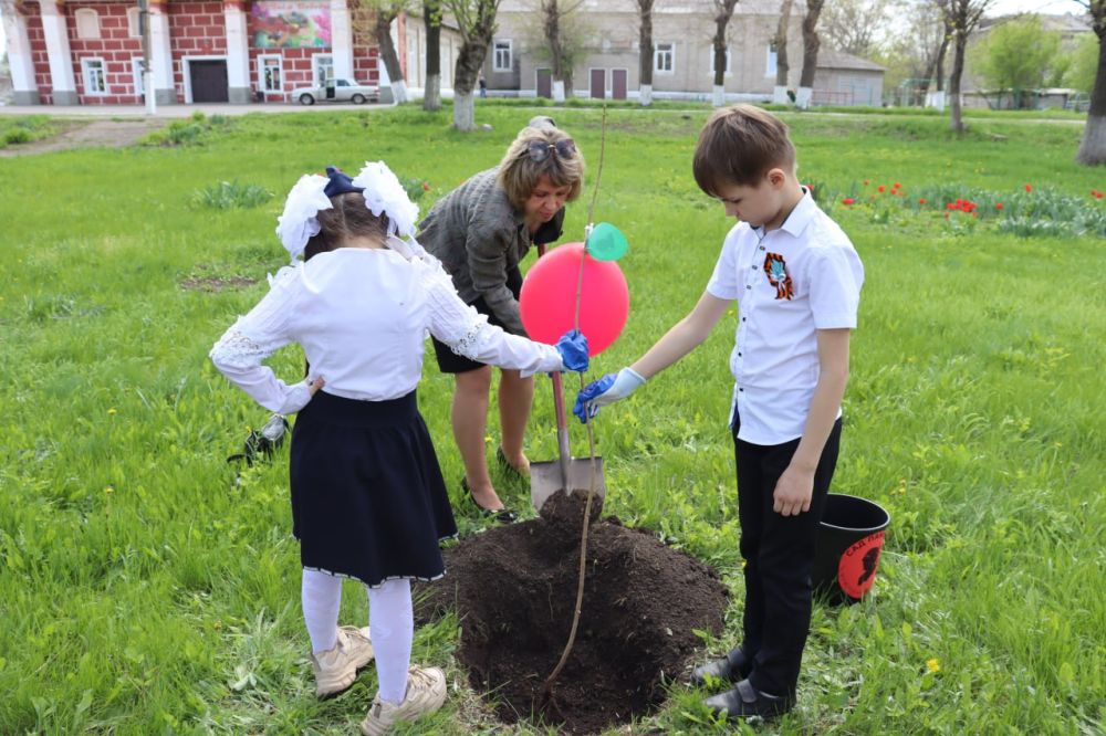 Патриотическая акция «Сад Памяти» прошла в Алмазной Патриотическая акция «Сад Памяти» прошла в Алмазной