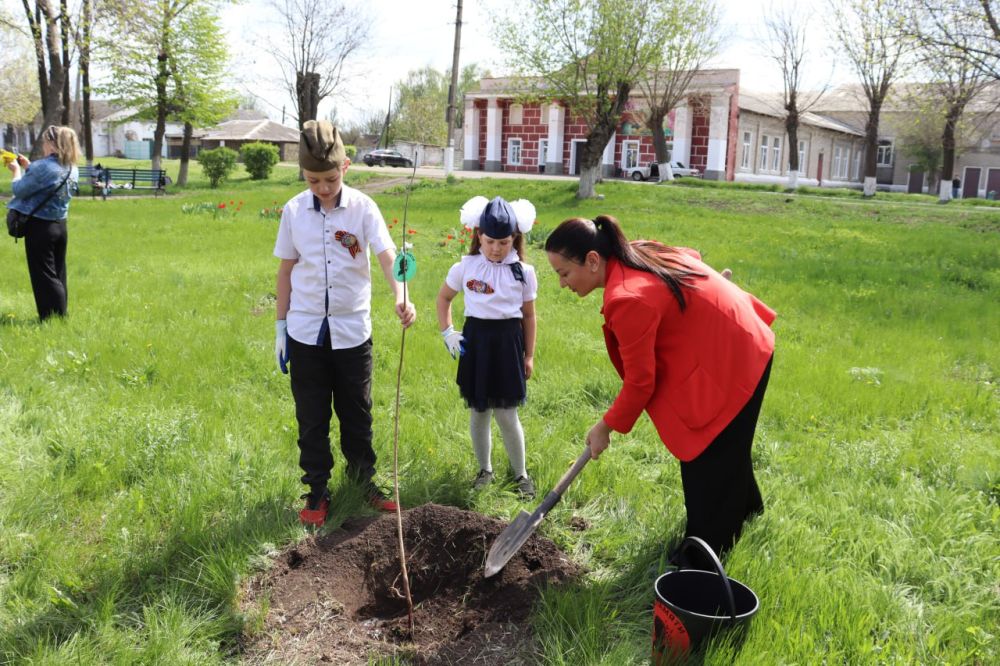 Патриотическая акция «Сад Памяти» прошла в Алмазной Патриотическая акция «Сад Памяти» прошла в Алмазной